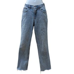 Abercrombie & Fitch Curve Love The 90s Straight Mid Rise Jeans Blue 26 Regular